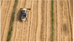 Food Resources